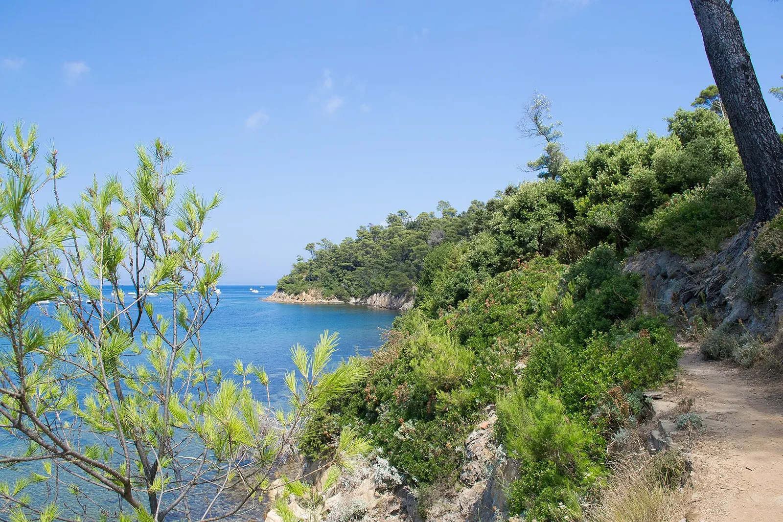 Patrimoine et nature sur le littoral varois : les sites incontournables